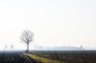 Po Vadisi 'nde kış manzarası