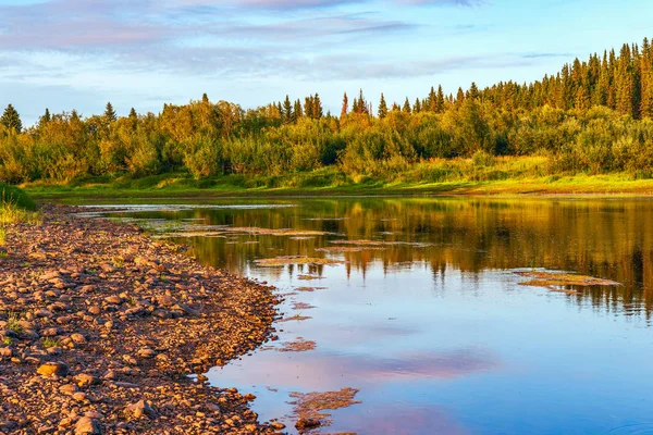 Sungai Pechora pada jam emas. Republik Komi. Rusia — Stok Foto