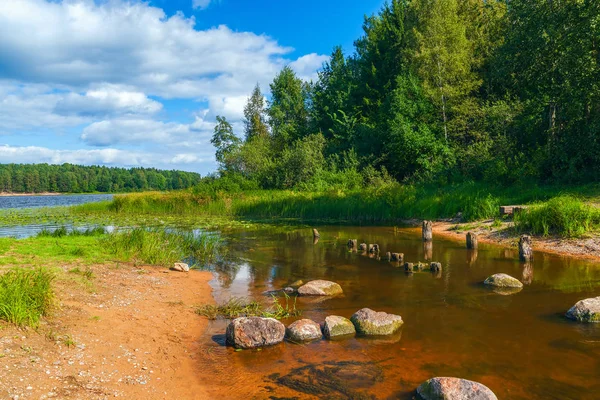 Anak sungai kecil dari sungai Oredezh. Leningrad oblast.Russia — Stok Foto