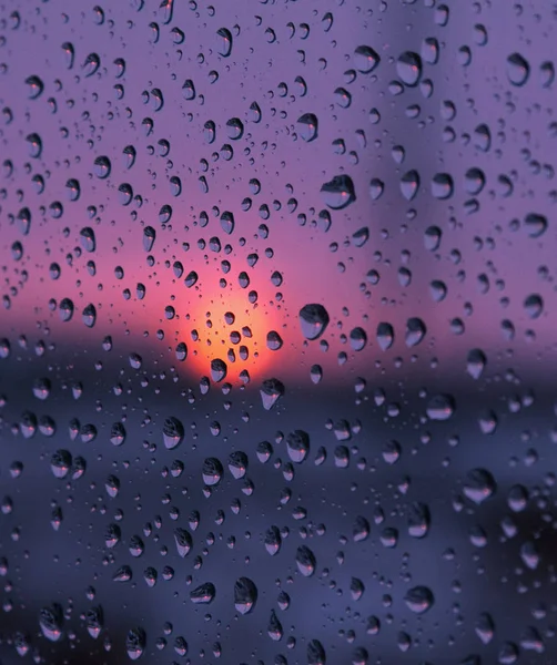 Reflexão do sol da tarde em gotas de uma chuva — Fotografia de Stock