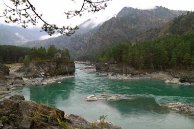 Turkuaz nehirde Katun sonbahar Altay on