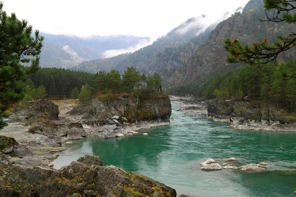 Turquoise river Katun in the autumn on Altai — Stock Photo, Image