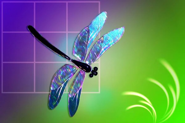 Glas dragonfly met ingang van holografie — Stockfoto