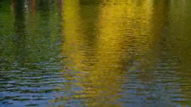 Zbliżenie Powierzchni Jeziora Jesiennym Odbiciem Parku — Wideo stockowe