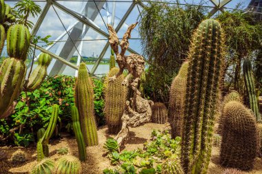 Koyun yanındaki Garden 'daki Çiçek Kubbesi' nin içinde bulunan ahşap bir heykel.. 