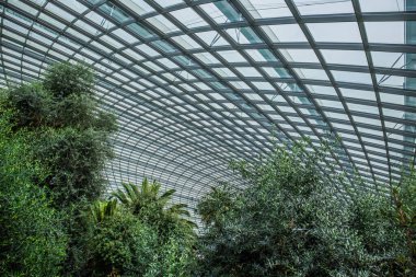 Çiçek Kubbesi, Singapur Körfezi kıyısındaki bahçelerin serinletilmiş iki konservatuarından biridir..