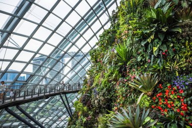 Bulut ormanı, körfez kenarındaki Garden 'ın kubbesindeki iki bahçeden biridir ve Singapur' da dünyanın en büyük sütunsuz serasıdır.