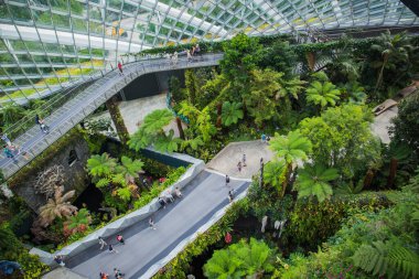 Bulut ormanı, körfez kenarındaki Garden 'ın kubbesindeki iki bahçeden biridir ve Singapur' da dünyanın en büyük sütunsuz serasıdır.