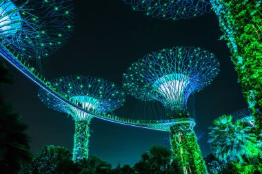 Singapur Körfezi 'ndeki Gardens' taki Supertree Grove 'un gece manzarası..