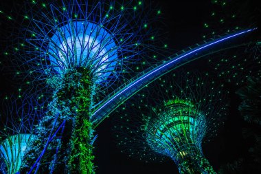 Singapur Körfezi 'ndeki Gardens' taki Supertree Grove 'un gece manzarası..