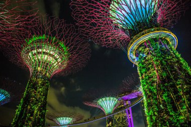 Singapur Körfezi 'ndeki Gardens' taki Supertree Grove 'un gece manzarası..