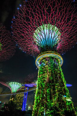 Singapur Körfezi 'ndeki Gardens' taki Supertree Grove 'un gece manzarası..