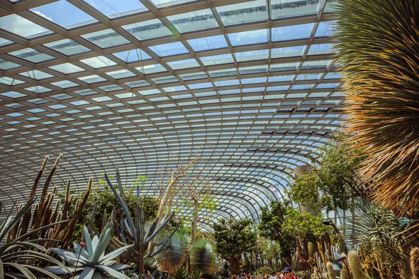 Flower Dome Dos Dois Conservatórios Interiores Resfriados Jardins Pela Baía — Fotografia de Stock