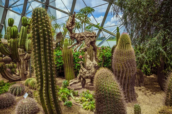 Wooden Sculpture Located Flower Dome Garden Bay — Stock Photo, Image