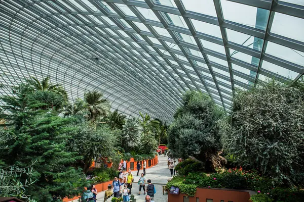 Flower Dome Dos Dois Conservatórios Interiores Resfriados Jardins Pela Baía — Fotografia de Stock