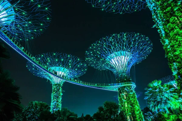 Nachtansicht Des Supertree Grove Gardens Bay Singapur — Stockfoto