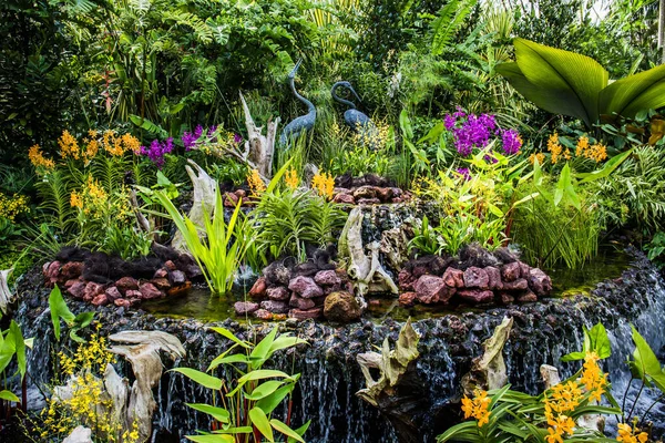 Jardín Botánico Singapur Tiene Mayor Exhibición Orquídeas Tropicales Mundo Hay —  Fotos de Stock