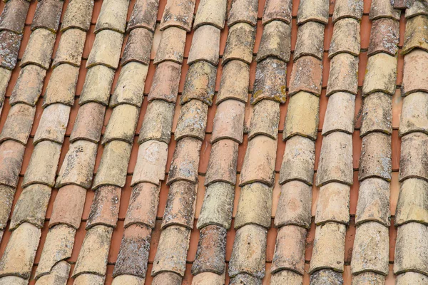 Döşeme çatısının bir parçası. Çamur fayansları. Geçmişi. Şablon. Terracotta. Gri. Ocher..