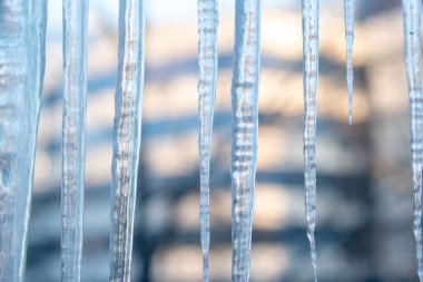 Bir iş merkezinin bulanık arka planında yoğun şeffaf buz saçakları. Kış manzarası. Geçmişi. Kavram.