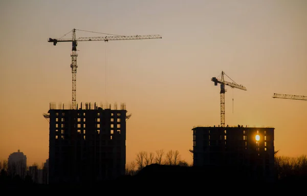Silhouettes of tower cranes  constructing a new residential building at a construction site against sunset background. Renovation program, development, concept of the buildings industry.