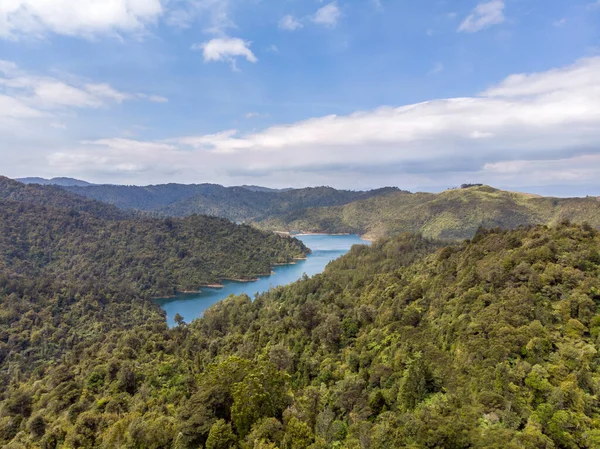 Ormandaki bir gölün güzel drone fotoğrafı.