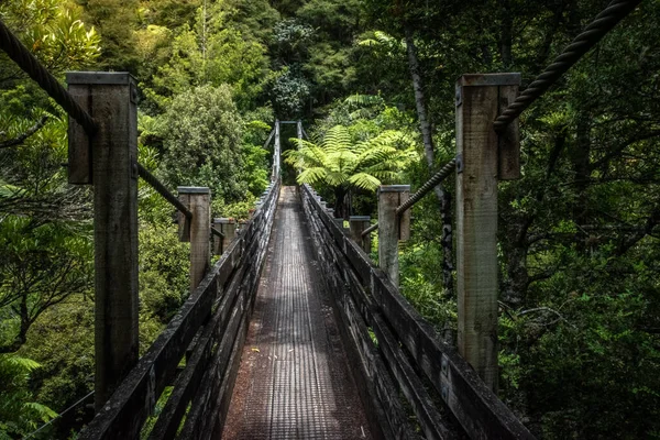 A cable bridge in a national park — Stock Photo, Image