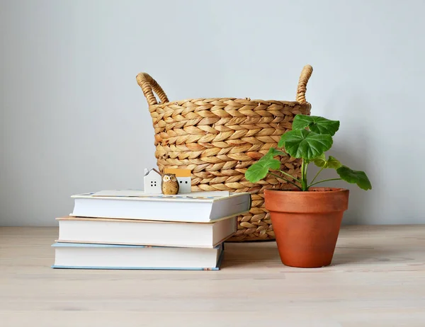 Fonott Kosár Házi Pelargonium Terrakotta Edényben Könyvek Kerámia Házak Bagoly — Stock Fotó
