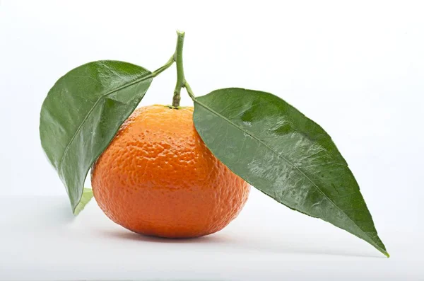 Fresh Tangerines White Background Studio Shot — 스톡 사진