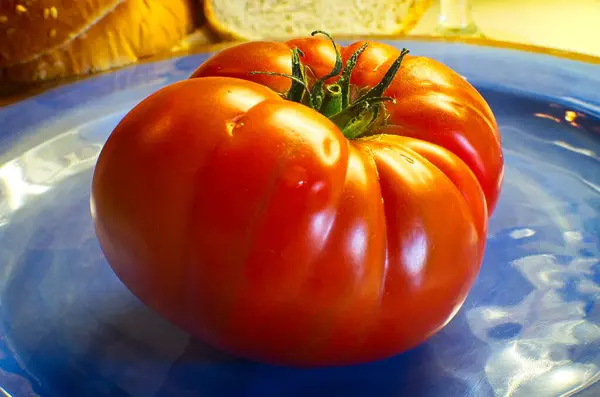 Tomate Raf Rouge Sur Assiette Bleue Produits Frais — Photo