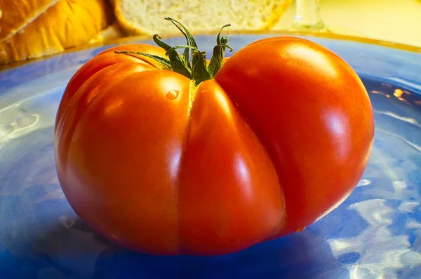 Röd Raf Tomat Blå Tallrik Färsk Mat — Stockfoto