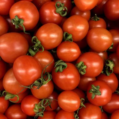 Makro fotoğraf kırmızı domates. Stok fotoğrafı kırmızı taze sebze domatesleri. 