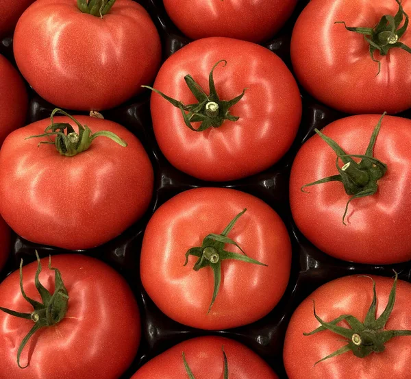 Macro Foto Tomate Vermelho Foto Stock Tomates Vegetais Frescos Vermelhos — Fotografia de Stock