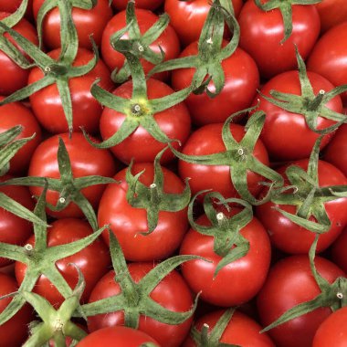 Makro fotograflı sebzeli domates vişneli. Doku arka plan kiraz domatesleri. Stok fotoğrafı. Kiraz domatesleri küçük sulu ve kırmızı..