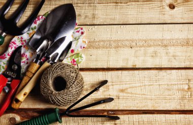 Tahta üzerinde el ile Bahçe aletleri