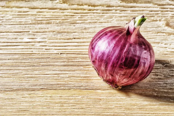 Red onion lying on a table — Stock Photo, Image