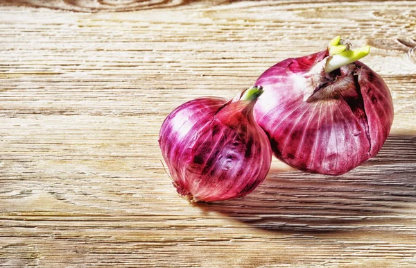 Tubers of red onion, on a wooden background — Stock Photo, Image