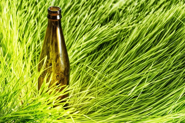 O gramado com garrafas de vidro — Fotografia de Stock