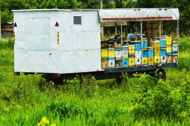 Mobil bir karavanda arı kovanı