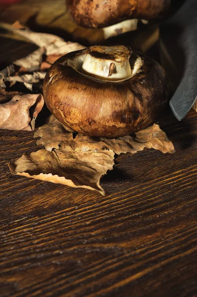 Champignons frais couchés sur la table dans les feuilles tombées — Photo