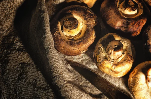 Taze yabani mantar çanta üzerinde yalan