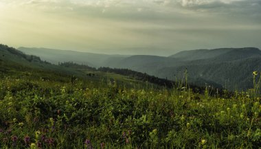 Dali dağ fırtınalı havalarda