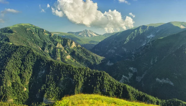 Kanyonları ile ormanlık Dağları Panoraması — Stok fotoğraf