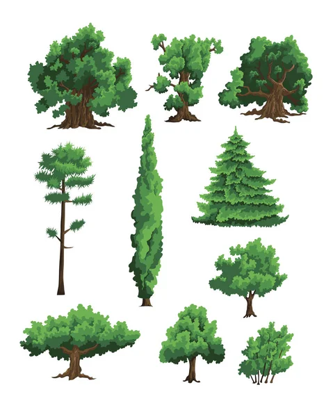Набор векторных иллюстраций деревьев — стоковый вектор