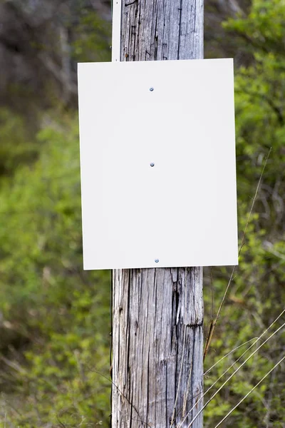 Panneau blanc fond sur un poteau téléphonique — Photo