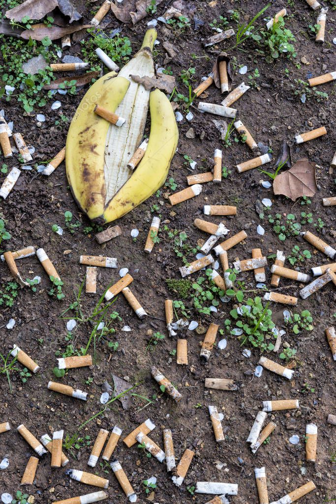 Cigarrillos y cáscara de plátano La tierra. 2023