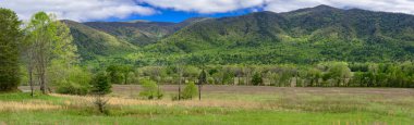 A springtime panorama from Cades Cove in the Great Smoky Mountains National Park. clipart