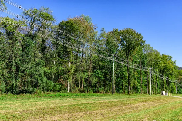 Lignes électriques à grande capacité — Photo