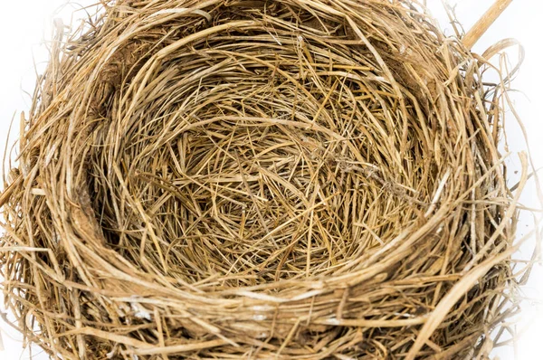 Close up van een Empty Nest. Focus in het centrum van Nest. — Stockfoto