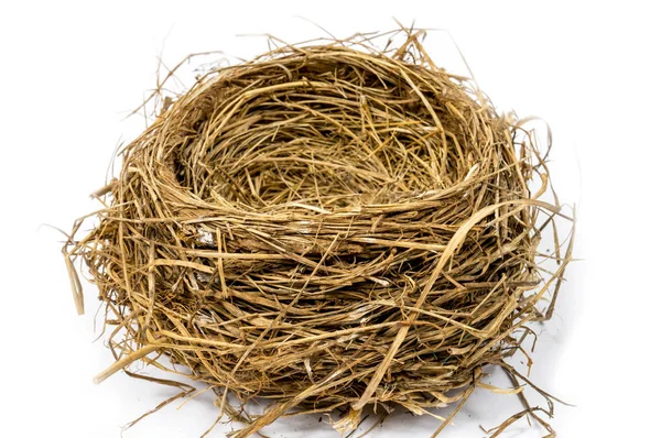 Lege Bird's Nest close-up — Stockfoto
