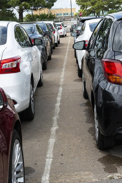 Airport Rental Cars In Line Airport Parking Lot — Stock Photo, Image